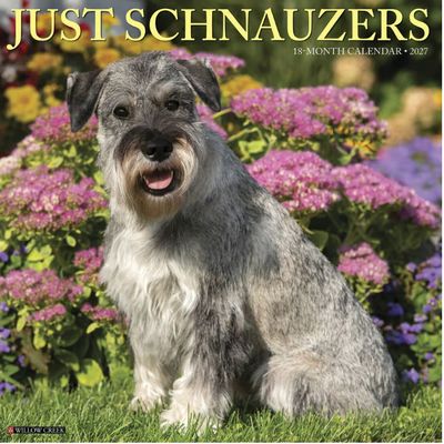 Just Schnauzers 2027 Calendar