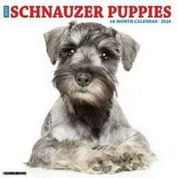 2026 Schnauzer Calendars