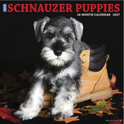 Just Schnauzer Puppies 2027 Calendar