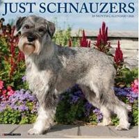 Just Schnauzers 2026 Wall Calendar