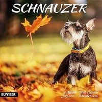 Schnauzer Puppies 2026 Calendar