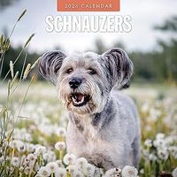 Schnauzer Puppies 2026 Calendar