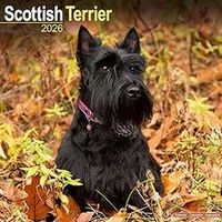 Scottish Terrier 2026 Calendar
