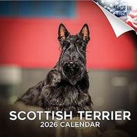 Scottish Terrier 2026 Calendar