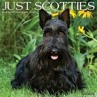 Just Scotties 2026 Calendar