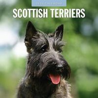 Scottish Terrier 2026 Calendar