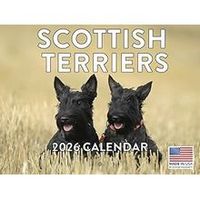 Scottish Terrier 2026 Calendar