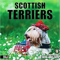 Scottish Terrier 2026 Calendar