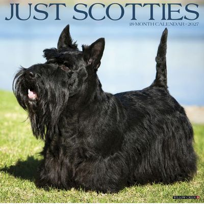 Just Scotties 2027 Wall Calendar