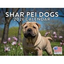 Shar Pei Dogs 2026 Calendar