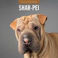 Shar Pei 2026 Calendar