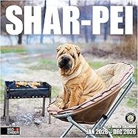 Shar Pei 2026 Calendar