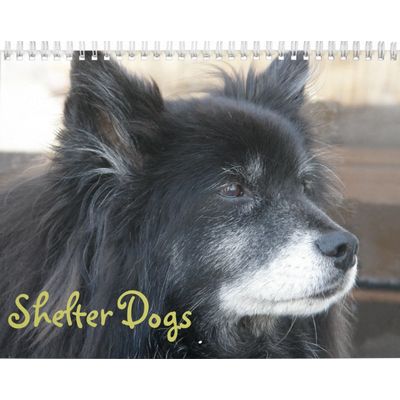 Shelter Dogs Calendar