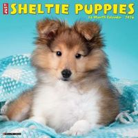 Sheltie Puppies 2026 Calendar