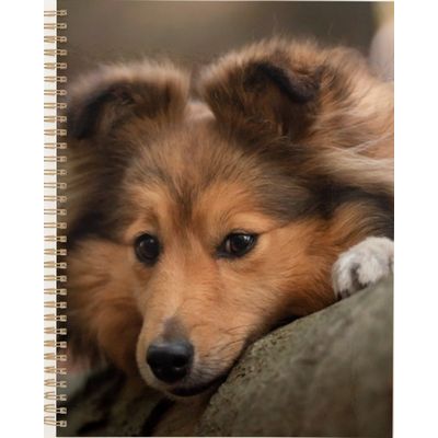 Shetland Sheepdog Puppy Planner