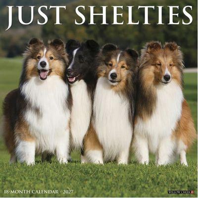 Just Shelties 2027 Calendar