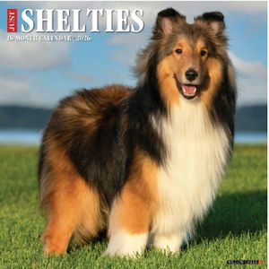 Shelties Calendar
