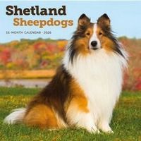 Shetland Sheepdogs 2026 Calendar
