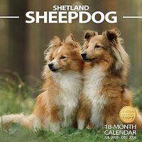 Shetland Sheepdog 2026 Calendar