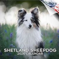Shetland Sheepdog 2026 Calendar