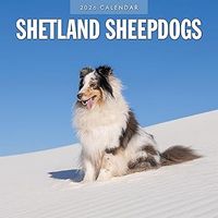 Shetland Sheepdog 2026 Calendar