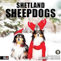 Shetland Sheepdog 2026 Calendar