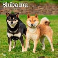 Shiba Inu Calendars