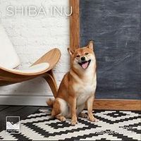 Shiba Inu 2026 Calendar