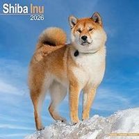 Shiba Inu 2025 Calendar 2026