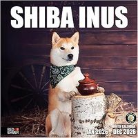Shiba Inu 2026 Calendar