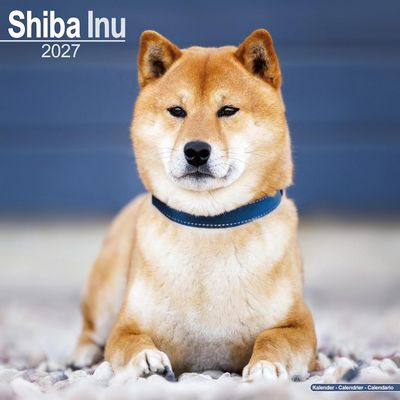 Shiba Inu 2027 Calendar