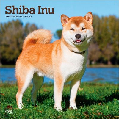 Shiba Inu 2027 Wall Calendar