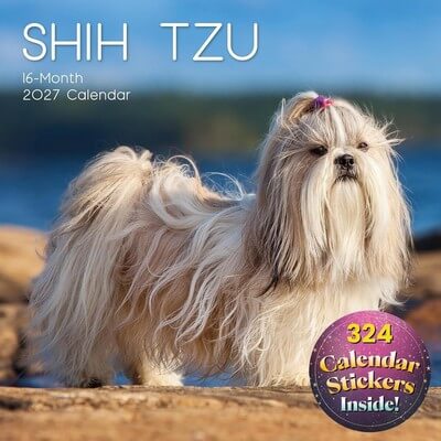 Shih Tzu 2027 Wall Calendar