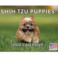 Shih Tzu Puppies 2026 Calendar