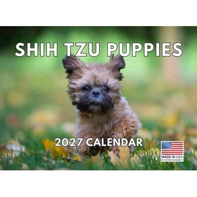 Shih Tzu Puppies 2027 Wall Calendar