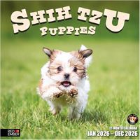 Shih Tzu Puppies 2026 Calendar