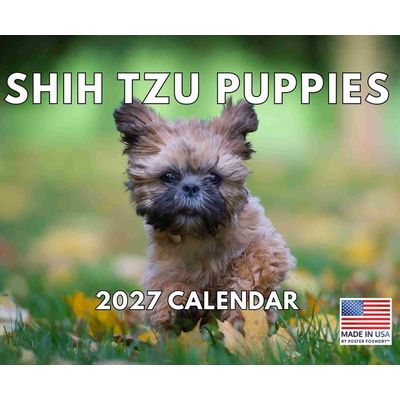 Shih Tzu Puppies 2027 Wall Calendar