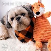Shi Tzus 2026Wall  Calendar