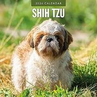 Shih Tzu 2026 Wall Calendar