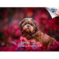 Shih Tzu 2026 Wall Calendar