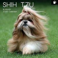 Shih Tzu 2026 Wall Calendar