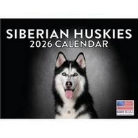 Siberian Huskies 2026 Calendar