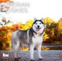 Siberian Huskies 2026 Calendar