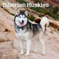 Siberian Huskies 2026 Calendar