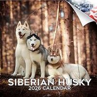 Siberian Huskies 2026 Calendar