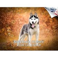 Siberian Huskies 2026 Calendar