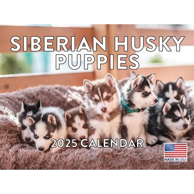 Siberian Husky Puppies 2027 Calendar