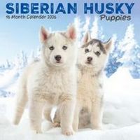 Siberian Husky Puppies 2026 Calendar