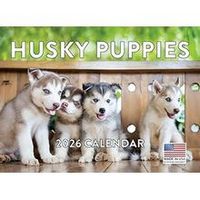 Siberian Husky Puppies 2026 Calendar