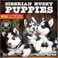 Siberian Husky Puppies 2026 Calendar